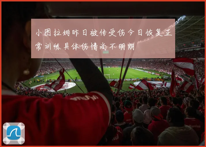 小图拉姆昨日被传受伤今日恢复正常训练具体伤情尚不明朗