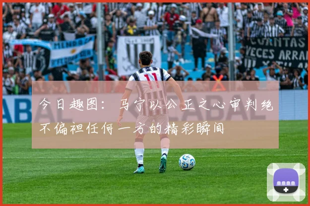 今日趣图：马宁以公正之心审判绝不偏袒任何一方的精彩瞬间
