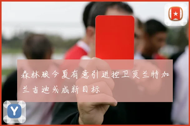 森林狼今夏有意引进控卫莫兰特加兰吉迪或成新目标